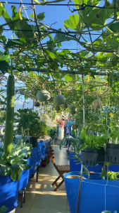 Đất Sạch Hữu Cơ Sfarm Chuyên Dùng Cho Rau Ăn Lá 20dm3 Khối lượng tương đương 9-10kg