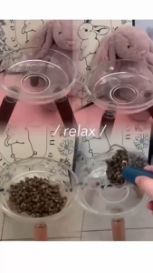 SKISOPGO Pet Food Bowl Cat Dog Feeding Bowl Elevated Cat Bowls Neck Protection Feeder Bowls