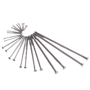 BAIRUITE | 304 Stainless Steel General Purpose Nails