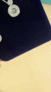 Dây chuyền kim cương Moissanite 0.10 Carat Caterina Diamond Round Design Clavicle DN011