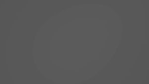 Mouse Wireless Bluetooth Silent 1600dpi Dual Mode CLIPtec RZS782