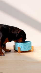 Bark & Spark Official Disney - Ceramic Pet Bowl with Bamboo Stand | Elevated Non-Slip & Hygienic