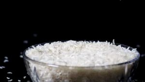 Dry / Dried Shirataki Rice 500g and 1kg Konjac Keto/Low Carb Approved /Superfood Diabetic Friendly Shiratake Rice Japonica Rice - Lazada