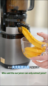 Electric Juicer Cold Press Juicer High Juice Yield Slow Juicer High Quality Household Commercial with Over Heat Protection Multifunctional Fruit Extractor