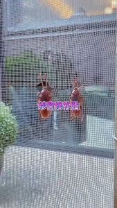 2M Window Screen Repair Kit Door Window Patch Tape Strong Adhesive Long Lasting Fiberglass Covering Mesh Repair Anti-mosquito Mesh Sticky Wires Patch Repair Tape 5x200cm 窗纱修补