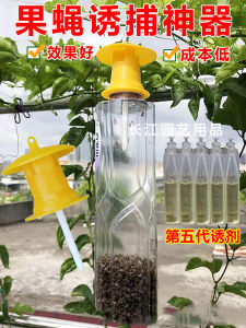 Fruit Fly Trap with Lure 2ML Solution for Orchard Melon Agriculture Planting Fly Fans Brand Easy-to-Use Pest Control