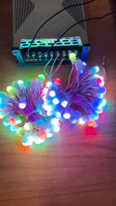 Led Đúc F5 RGB tự đổi màu Điện áp 12v - Dây 50 Bóng