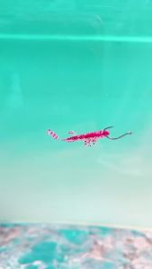TAIYU | 10 Chiếc 65MM Nổi Bướm Nĩa Đuôi Mềm Dụ Wobbler Swimbaits Đa Năng Nhân Tạo Micro Mồi Mềm Cho Cá Bass Cá Hồi
