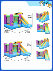 Doctor Dolphin | Indoor Inflatable Bouncer Slide Ball Pool Playhouse