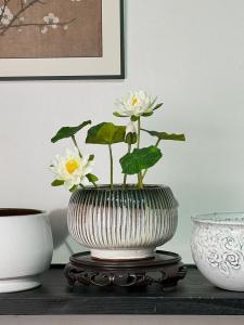 Large Size No Hole Ceramic Bowl Lotus Flower Pot One Leaf Lotus Tank Copper Money Grass Vintage Porcelain Plant Pots for Flowers