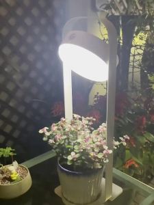 MOYE | Large Power Simple Rechargeable Waterproof Adjustable Light Smart Solar Red Floor Lamp