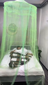 Mosquito Net Super King Size Elegant Canopy Repellent Tent Insect Reject Good Quality 100*250*800CM