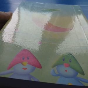 Manual of Nephrology FIFTH Edition EDITED by Robert W. Schrier (Author)