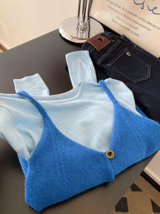 Blue Knitted Long Sleeve Top And Tank Vest Set Anti-Aging Summer Outfit Two-Piece Fashionable Ensemble for Young Women