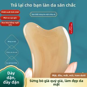 GUOXIANGQIAN | Bảng Cạo Guasha Cho Mặt Mắt Vai Cổ Lưng