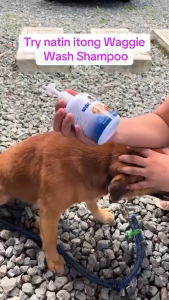 Waggie Wash Shampoo With Humic AcidMadre De Cacao For Dogs and Cat. Mabisa sa GalisKatikatiPulgas