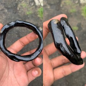 Gelang akar Bahar hitam