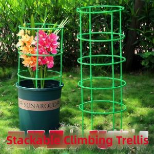 YOULE | Universal Indoor Plant Support Stand