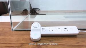 Speaker Pengusir Tikus Ultrasonic: Alat Pengusir Tanpa Racun Perangkap Pasang Pengusir Tikus Rumah Elektronik