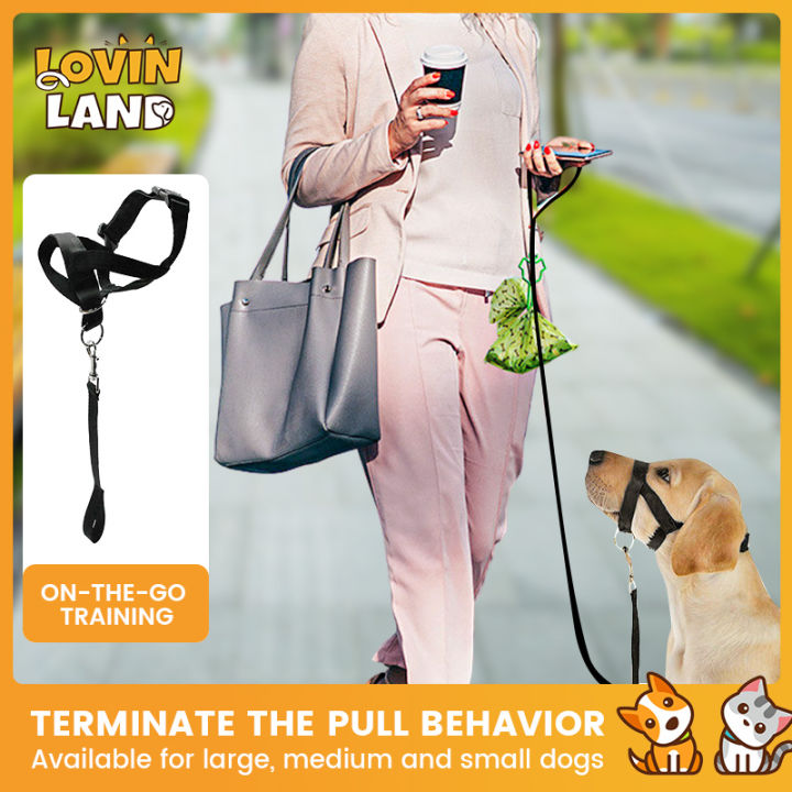 Lovinland Nylon Leash Pet Muzzle Strap Adjustable Dog Mouth Cover Anti-bark  Pet Mouth Muzzle Stop Biting Chewing For Small Large Dog