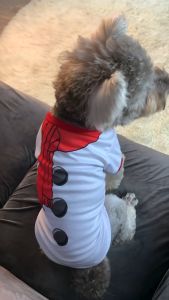 Small Medium-Sized Dog Sweatshirts Christmas Pet Two-Legged Thin Dog Clothes Baju Kristmas Kuching Anjing 中小型宠物圣诞节衣服