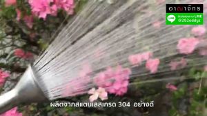 ANAHCHAK ฝักบัวรดน้ำต้นไม้ หัวบัวแสตนเลส ขนาด 4 นิ้ว