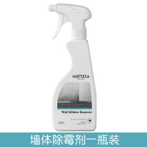 White Wall Mildew Removal Spray Back to South Sky Wall Mildew Cleaning Mildew Removal Room Wall Mildew Removal Mold