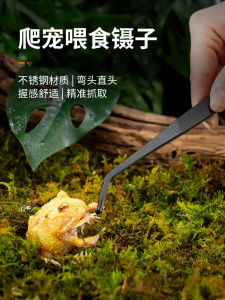 Stainless Steel Tweezers Crawler Lizard Turtle Ceratophrys Feeding Tool Pet Box Cleaning Stool Clip Insect Clip Long