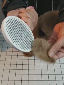 Pet Dog Comb Dog Brush Cat Comb Grooming Cleaning Comb Hair Fur Shedding Tool