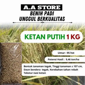 Bibit Benih Ketan Putih Kualitas Super Kemasan 2=kg
