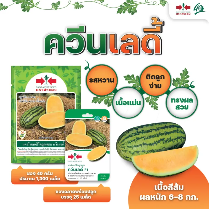 รวมสุดยอดเมล็ดพันธุ์แตงโมและพืชผักสวนครัว ตราศรแดง ยอดนิยมปี 2025