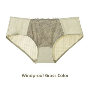 GAINREEL | Lace French Low-Waist Brief Panties Breathable Soft Naked Feel