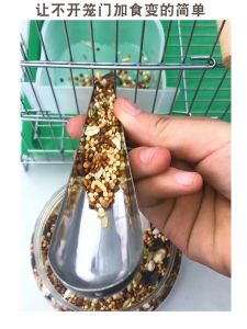 ที่ตักอาหารนก ช้อนตักอาหารนกแก้ว อุปกรณ์กรงนก ช้อนตักอาหารนก ช้อนสแตนเลส