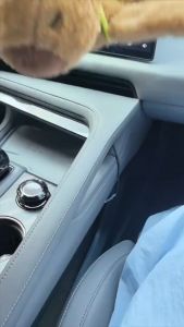 Capybara clap circle toys Slap Snap Wrap Wristband Bracelet Capybara / Boneka Gelang Ring Capybara