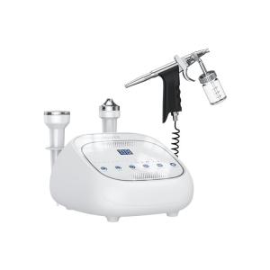 VLVEE | Home Face Massager Oxygen Infusion Essence Importer Ultrasonic Beauty Instrument