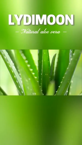 Moisturizing Aloe Vera Cream Aloe Vera Gel Moisturizing cream 40g Aloe Vera Moisturizing Shrink Pores Moisturizing Nourishing Skin Care gel