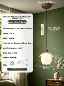 PAIMIJI | French Vintage Style Elevatable Full Spectrum Eye-Protective Hanging Light