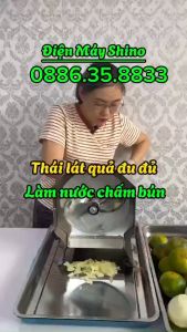 Máy Thái Lát Đa Năng Thái Đu Đủ Làm Nộm Nước Chấm