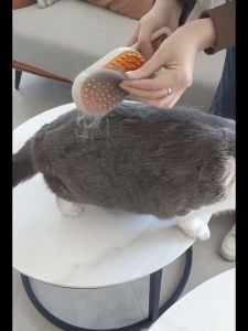 HATELI Cat Steam Brush Steamy Dog Brush 3 in 1 Electric Spray Cat Hair Removal Brushes Massage Bath Pet Grooming Comb