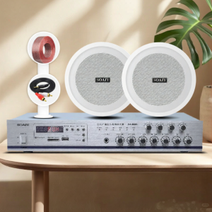 ลำโพงไร้สาย Bluetooth Sony Ericsson พร้อมแอมป์รับประทานผนัง ลำโพงบลูทูธสำหรับร้านค้าและห้องโถงขนาดใหญ่ ลำโพงเพดานแบบติดแน่น 310