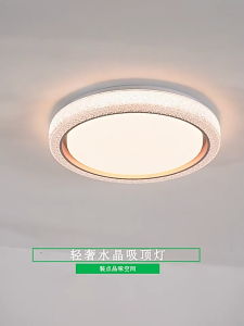 SOLO Modern Design LED Ceiling Lights for Bedroom Chandelier Panel Lights Corridor Lamp for Living Room