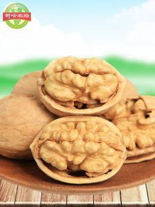 Trái Cây Khô Hạt Vỏ Mỏng Mới Từ Hợp Tác Xã Nông Trường Xinha Khô Hạt Trung Quốc Xianjiang Vỏ Mỏng Hạt Ăn Nhẹ Hạt Ăn Nhẹ