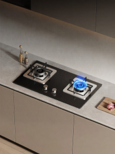 Home Dual Burner Gas Stove