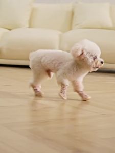 JML | Winter Autumn Thickened Anti-slip Sport Dog Boots 4 Pcs