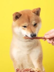 Dog Treats Cat Treats Dog Food Pet Beef Stick Dog Training Snacks pet Snacks100g