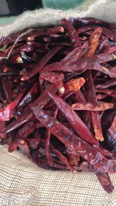 [1KG] cabai cabe besar kering lombok india wonder hot tidak pedas.