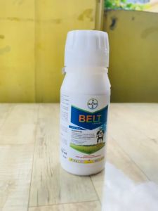 Insektisida BELT EXPERT 480SC