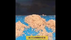 Mewei Emperor Cockroach Bait Ant Bait Indoor Kitchen Insecticide Household Cockroach Bait Cockroach Powder Insect Repellent Powder