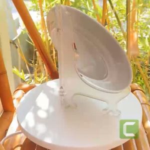 Đĩa Xoài Long Phương Kích Thước Lớn 30 *20 CM Hàng Cao Cấp