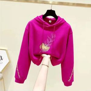 เสื้อสเวตเตอร์เอวสูงบุขนกำมะหยี่หนาพิเศษแบบสั้นสำหรับผู้หญิงแบบใหม่ฤดูใบไม้ผลิและฤดูใบไม้ร่วงปี2023เสื้อมีฮู้ดทรงหลวมสไตล์เกาหลีสำหรับคนตัวเล็กสวย